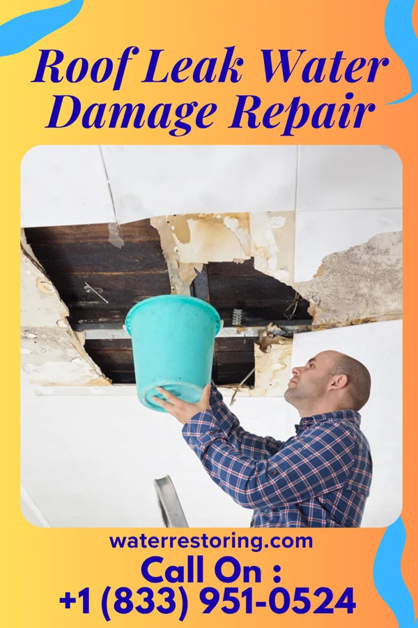 Roof Leak Water Damage Repair in Eldersburg, MD