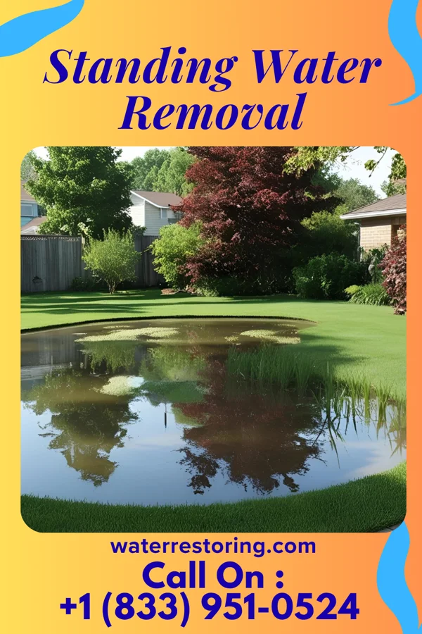 Standing Water Removal in Eldersburg, MD